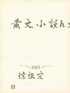黄文小说h文