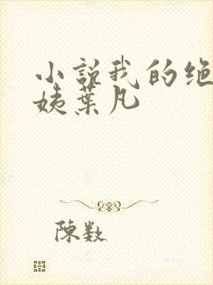 小说我的绝色小姨叶凡封面