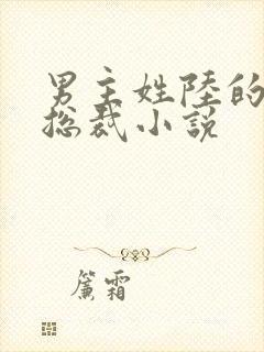 男主姓陆的所有总裁小说
