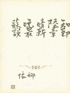 苏晚晴陆知衍小说最新章节更新内容