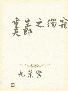 重生之独宠冲喜夫郎