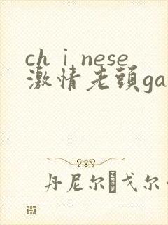 chⅰnese激情老头gaygaygay