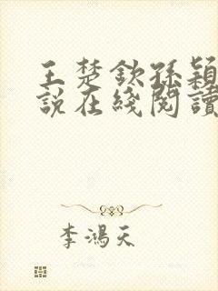 王楚钦孙颖莎小说在线阅读