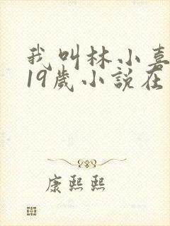 我叫林小喜今年19岁小说在线阅读全文