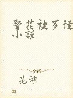 警花被歹徒强暴小说