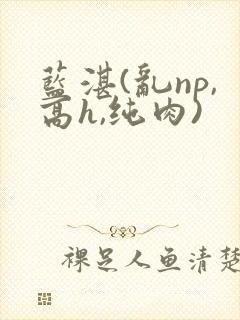 蓝湛(乱np,高h,纯肉)