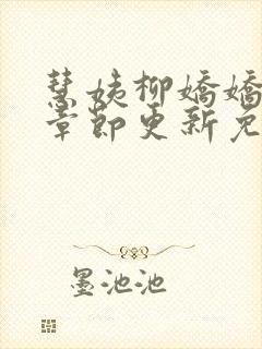 慧姨柳娇娇最新章节更新免费阅读