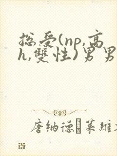 总受(np,高h,双性)男男