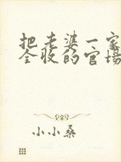 把老婆一家姐妹全收的官场小说叫什么封面