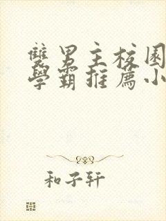 双男主校园文双学霸推荐小说完结封面