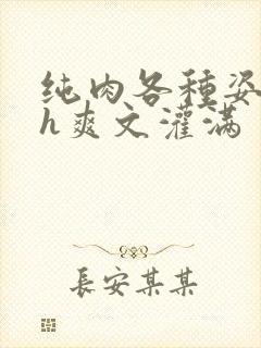 纯肉各种姿势高h爽文灌满