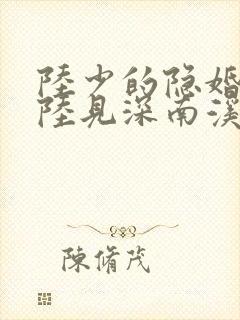 陆少的隐婚罪妻陆见深南溪