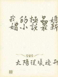 我的极品媳妇苏媚小说最新章节更新