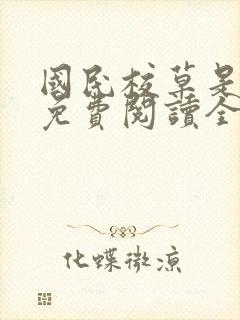 国民校草是女生免费阅读全封面