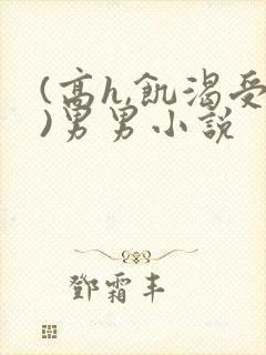 (高h,饥渴受)男男小说