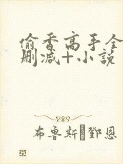 偷香高手全文无删减+小说封面