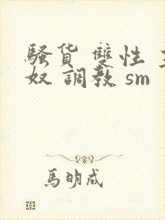 骚货 双性 主奴 调教 sm封面