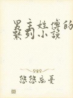 男主姓傅的总裁系列小说