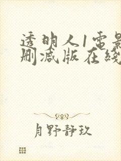 透明人1电影未删减版在线观看