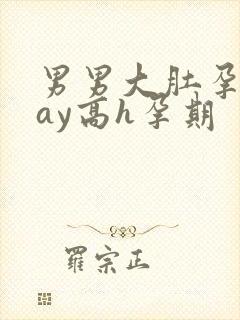 男男大肚孕play高h孕期