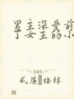 男主深爱前任娶了女主的小说