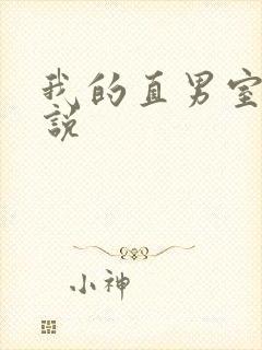 我的直男室友小说