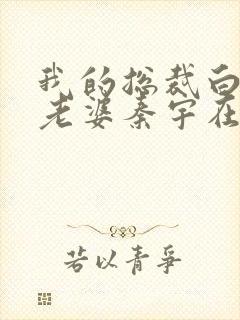 我的总裁白富美老婆秦宇在线阅读小说封面