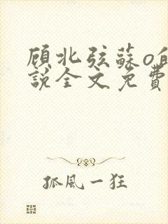 顾北弦苏o的小说全文免费