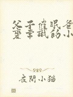 父子催眠爸爸改变常识的小说叫什么