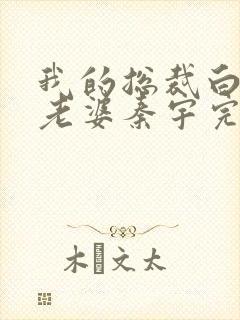 我的总裁白富美老婆秦宇完结