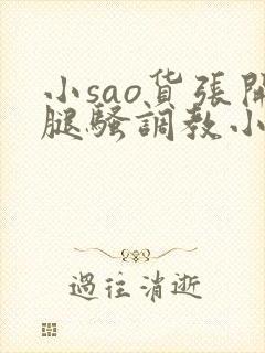 小sao货张开腿骚调教小说