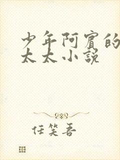 少年阿宾的房东太太小说