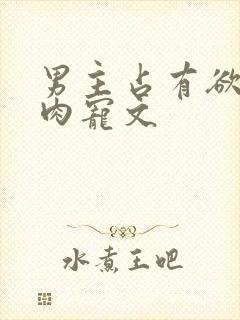 男主占有欲强的肉宠文