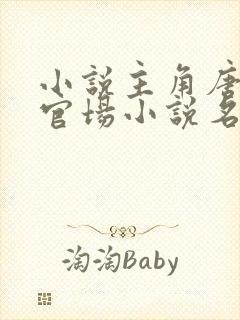 小说主角唐毅的官场小说名字封面