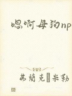 嗯啊母狗np