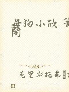 母狗小欣 笔趣阁