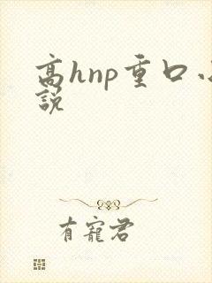 高hnp重口小说封面