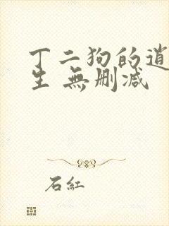 丁二狗的逍遥人生 无删减