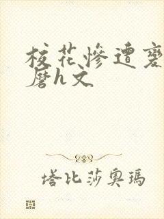 校花惨遭变态折磨h文