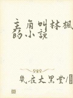 主角叫林枫穿越的小说