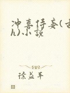 冲喜侍妾(古言h)小说