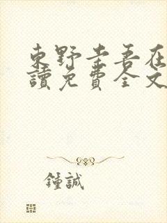 东野圭吾在线阅读免费全文