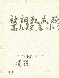 被调教成贱奴的高h短篇小说推荐封面