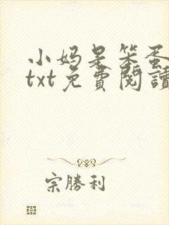 小妈是笨蛋美人txt免费阅读封面