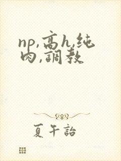 np,高h,纯肉,调教