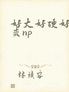 好大好硬好深好爽np