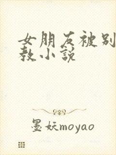 女朋友被别人调教小说