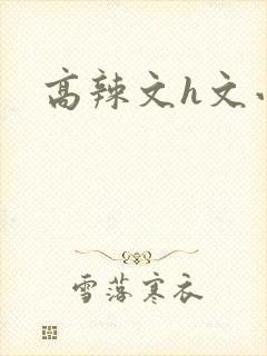 高辣文h文小说