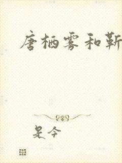 唐栖雾和靳沉野封面