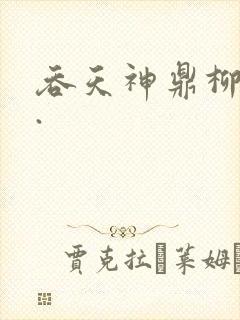 吞天神鼎柳无邪.